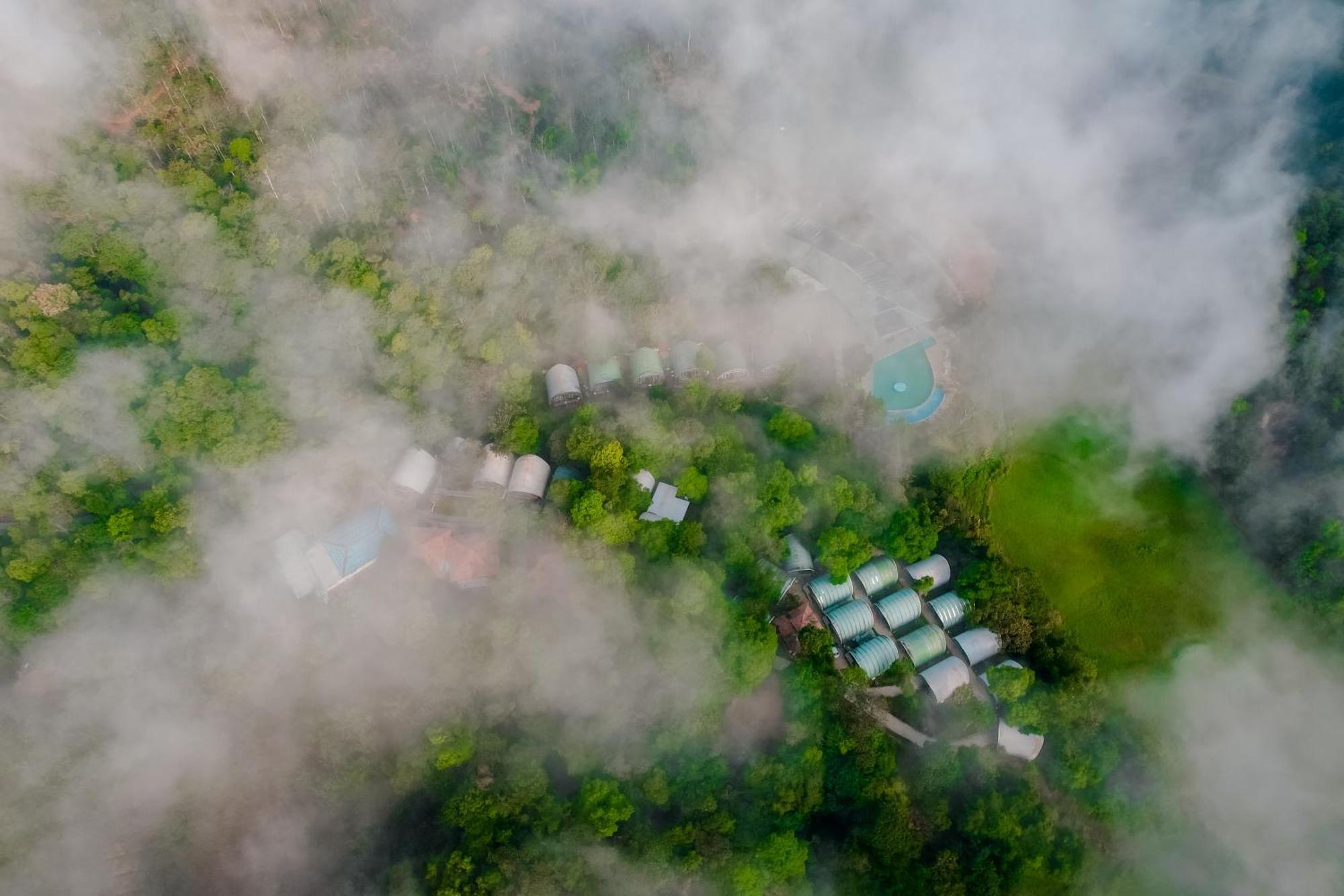 Mookanana Jungle Resort And Spa Hassan Exteriér fotografie